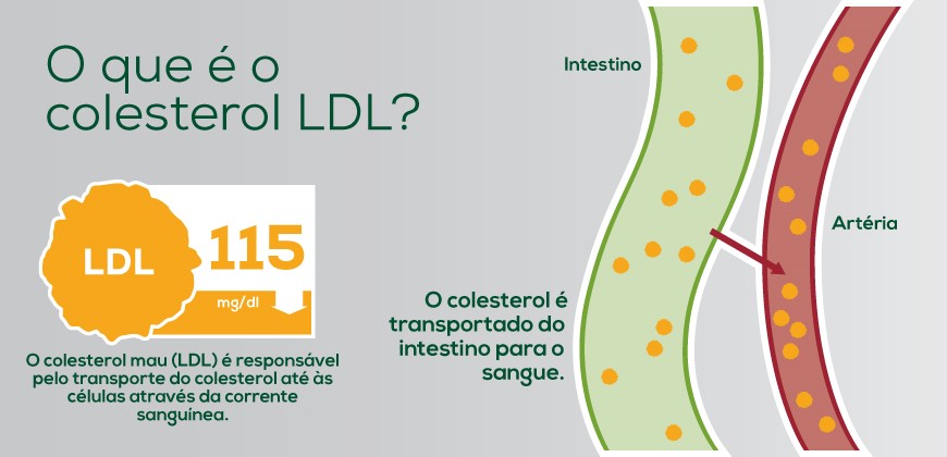 Colesterol bom e ruim: entenda a diferença entre eles – LabVital